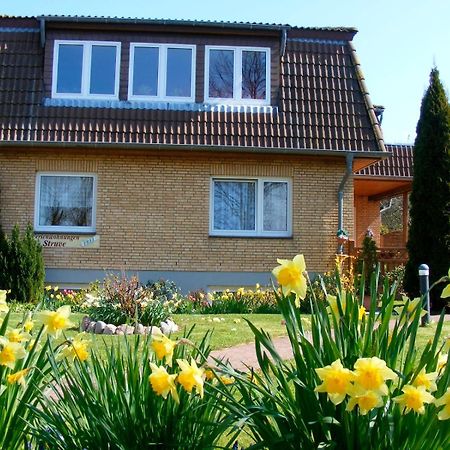 Ferienwohnung Struve Nr 2 Petersdorf auf Fehmarn Dış mekan fotoğraf